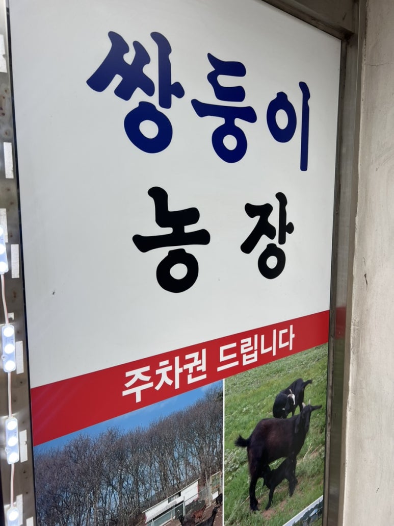 쌍둥이흑염소 이미지