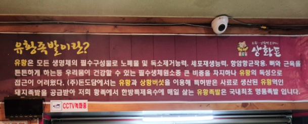 돈도담 이미지