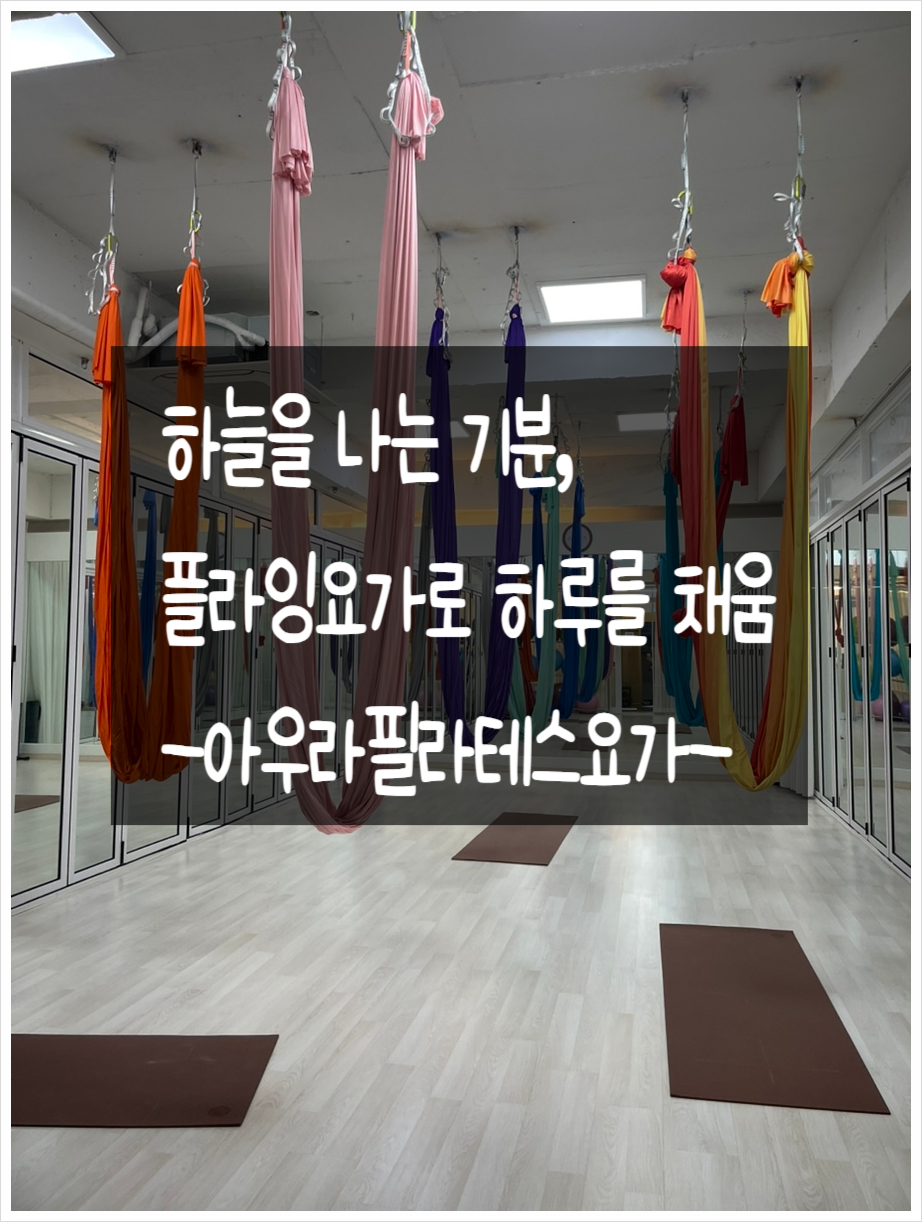 비에이치씨각산 이미지