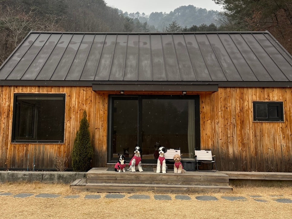 보리네민박 이미지