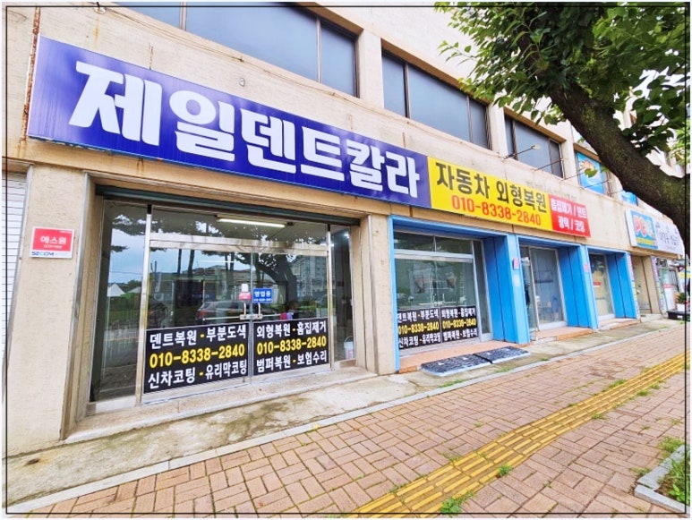 제일덴트칼라 이미지