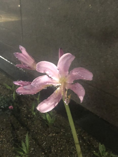 프레시랩 이미지