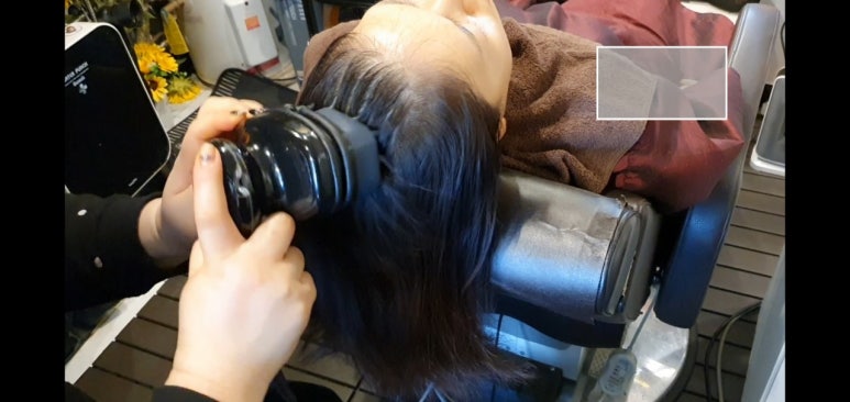 힐링숲에스테틱 이미지