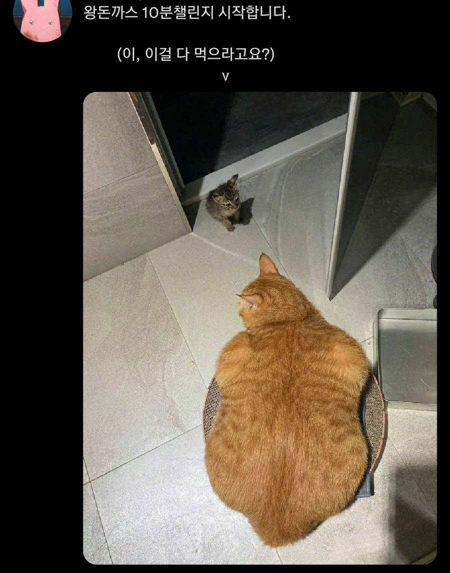 드가자 이미지