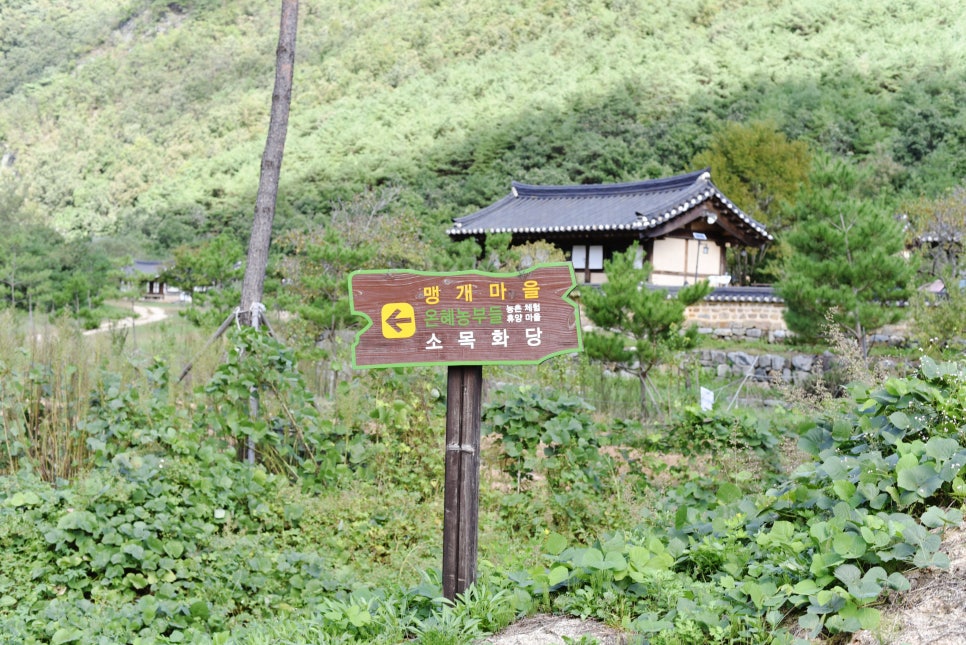 맹개마을농촌체험휴양마을 이미지