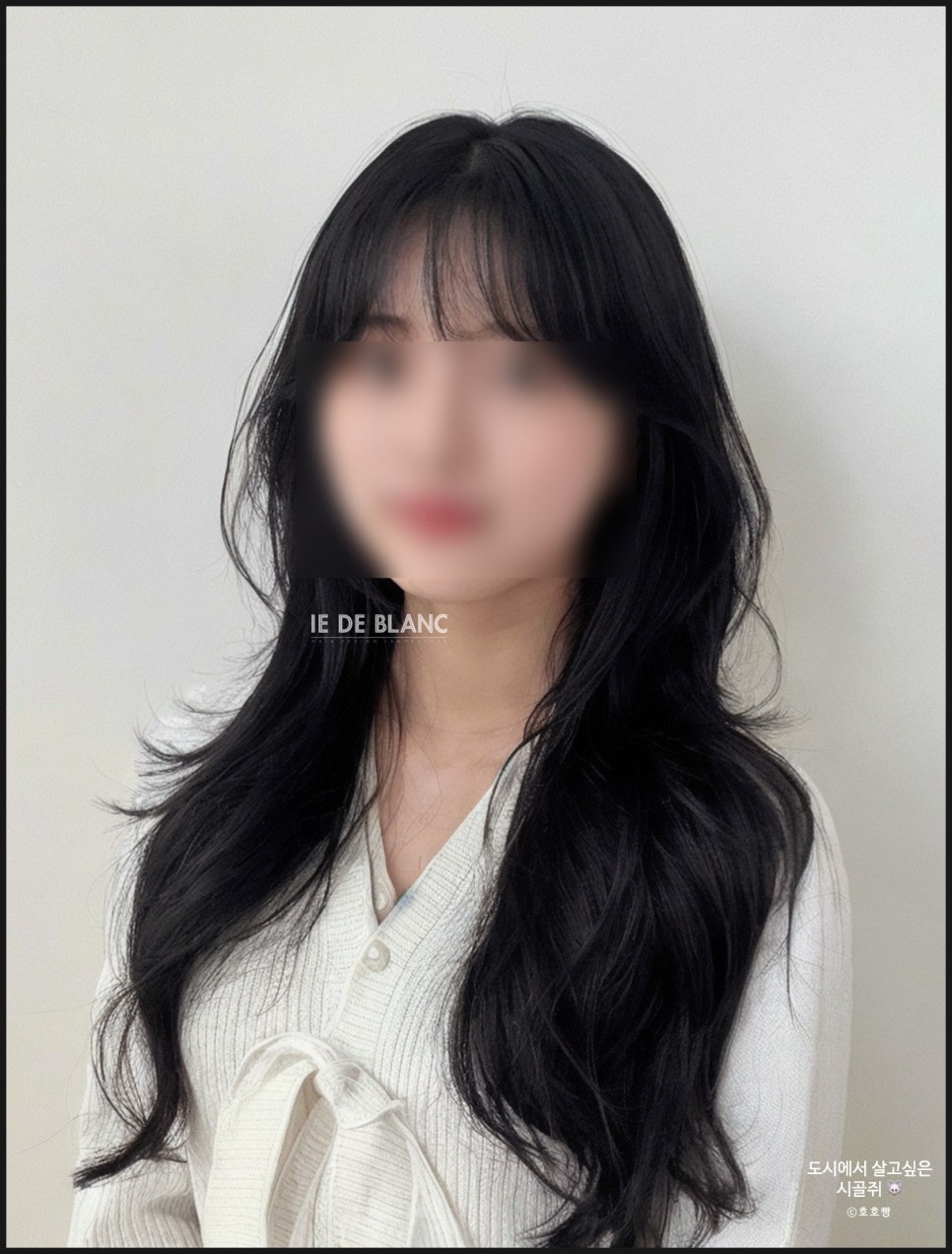 아이드블랑 이미지