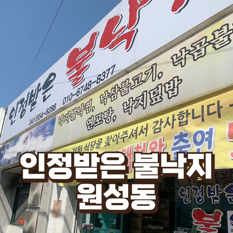 인정받은불낙지 이미지