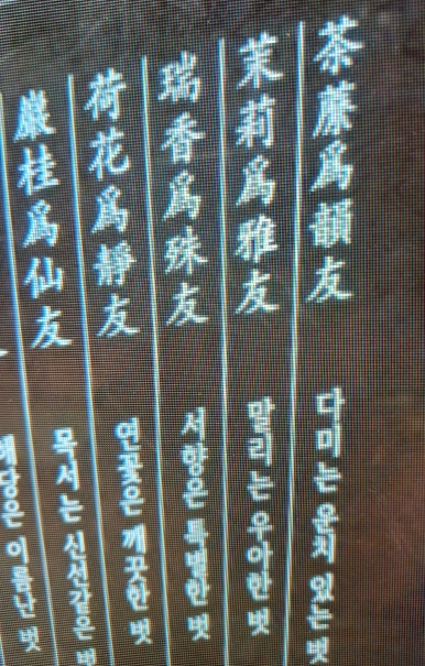 (茶:)다미 이미지