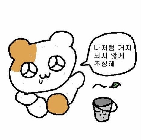 어보브 이미지