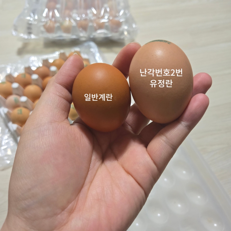 한길상회 이미지