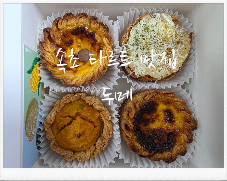 두메(DUME) 이미지