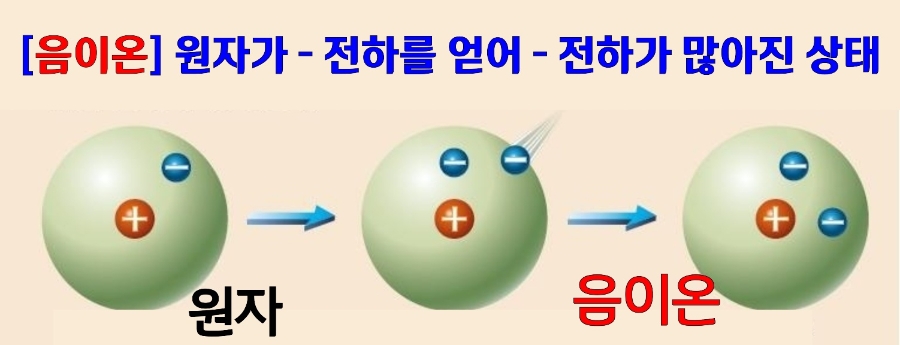 본텔 이미지