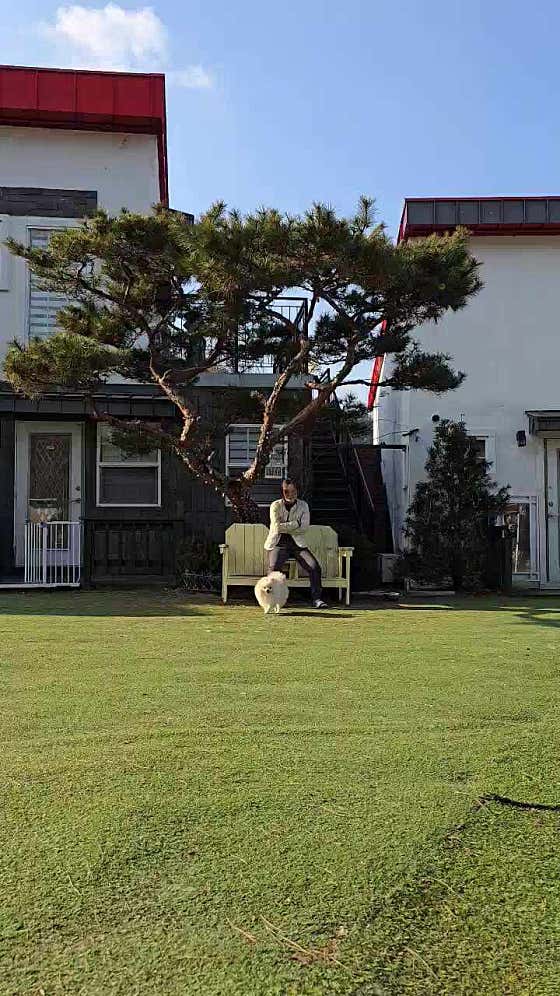 도담도담펜션 이미지