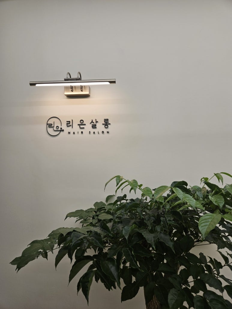 살롱;동백 이미지