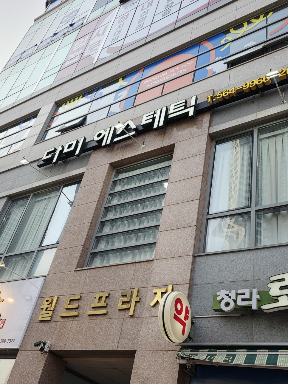 다미에스테틱 이미지