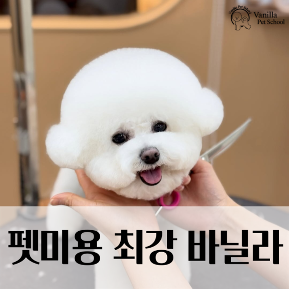 현대미용학원 이미지