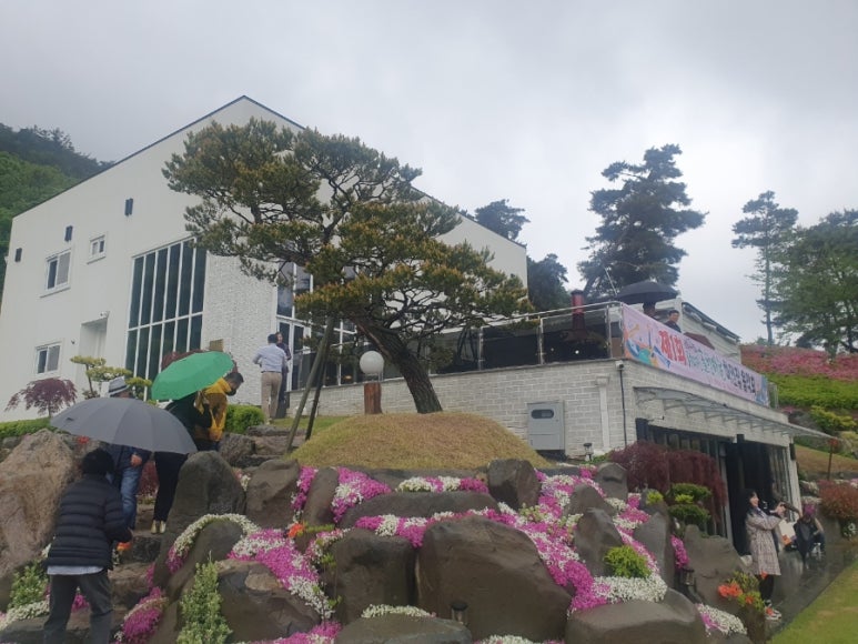 센스노래광장 이미지