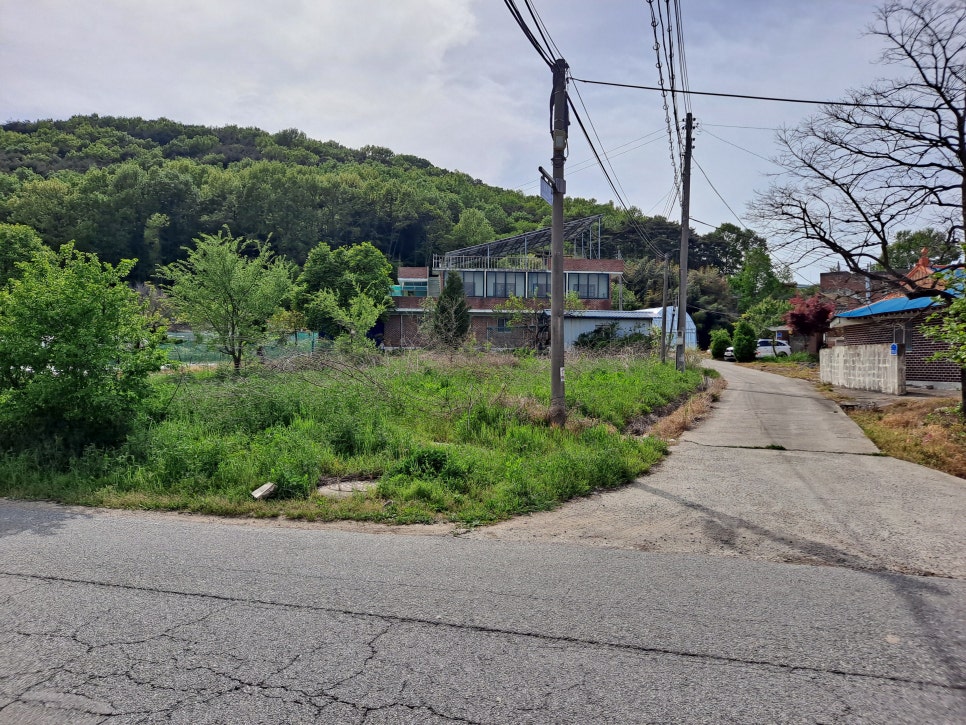 신성부동산컨설팅 이미지