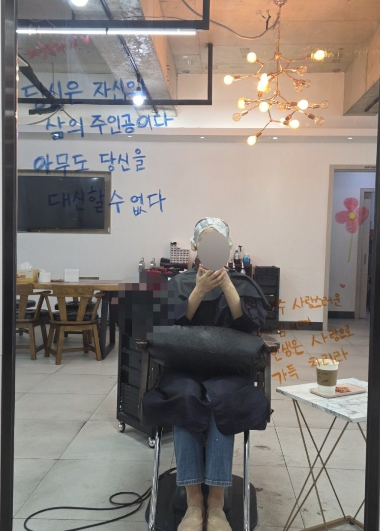 하임 염색 이미지