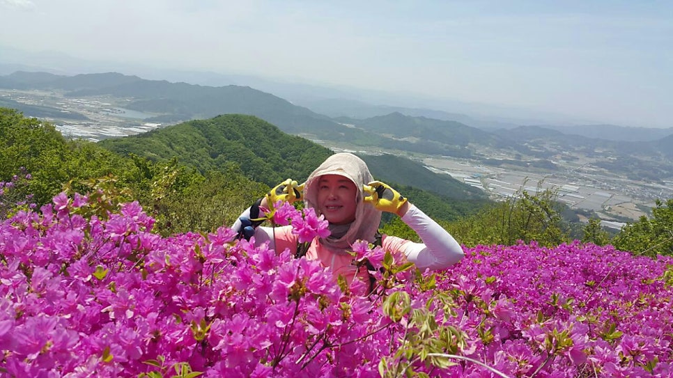 철쭉 군락지 이미지