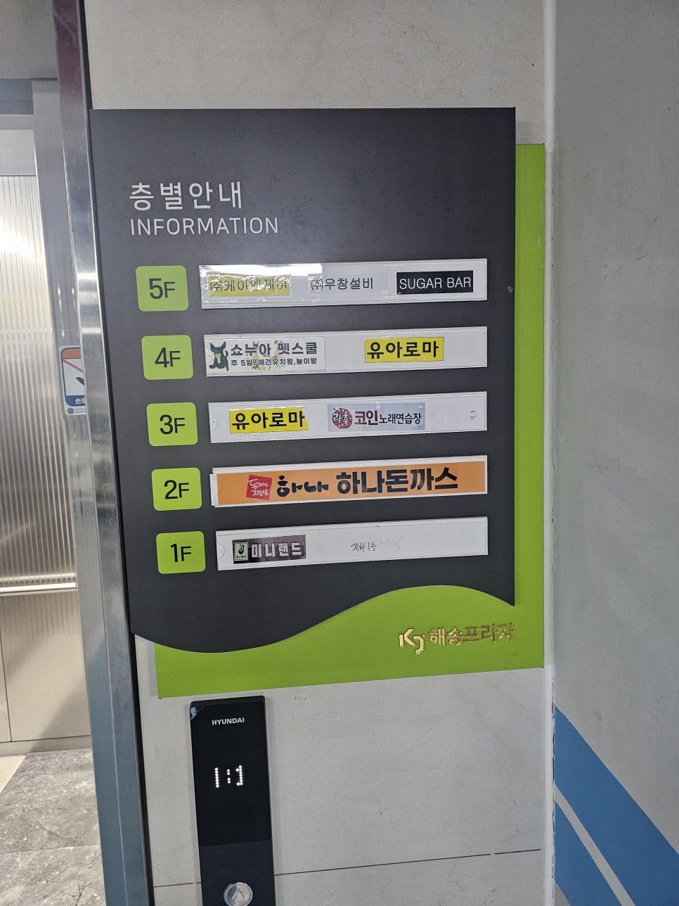 하나돈까스신도시점 이미지
