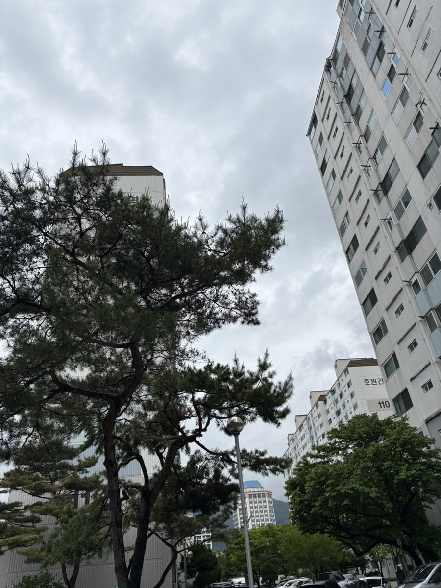 건영세탁소 이미지