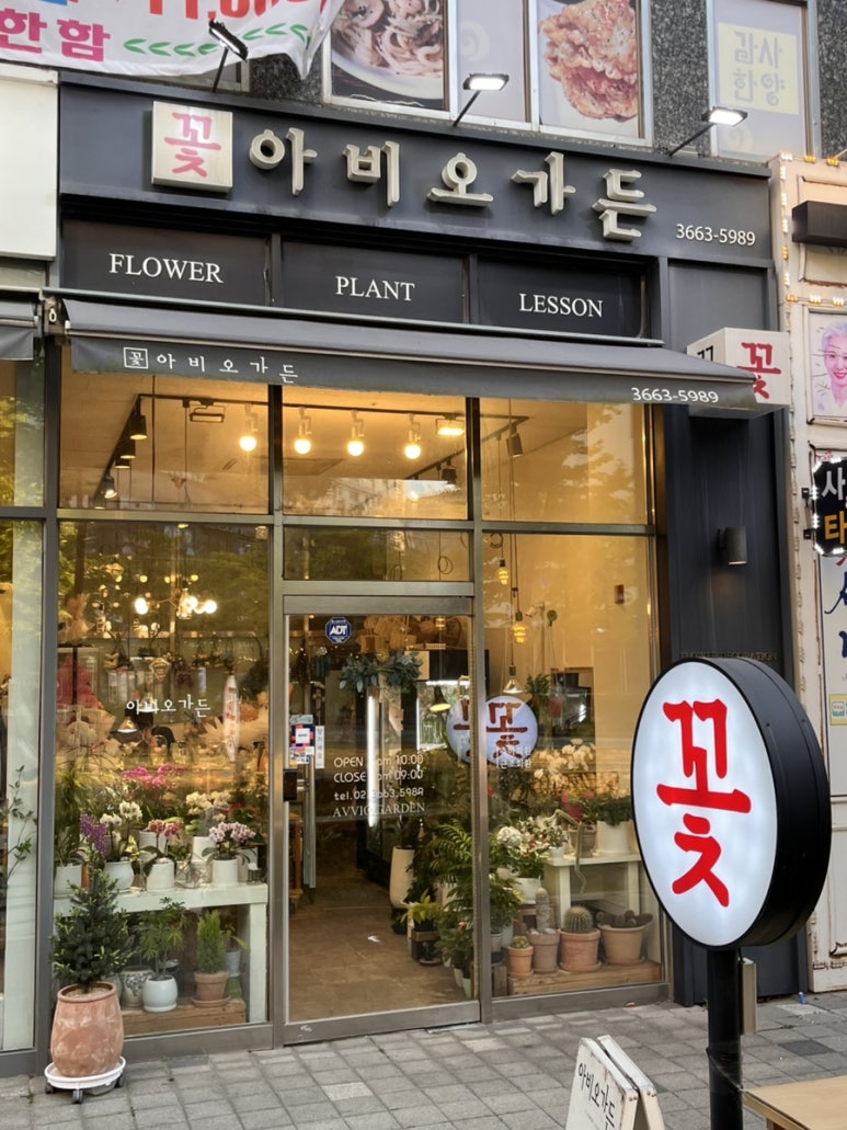 아비오가든 이미지
