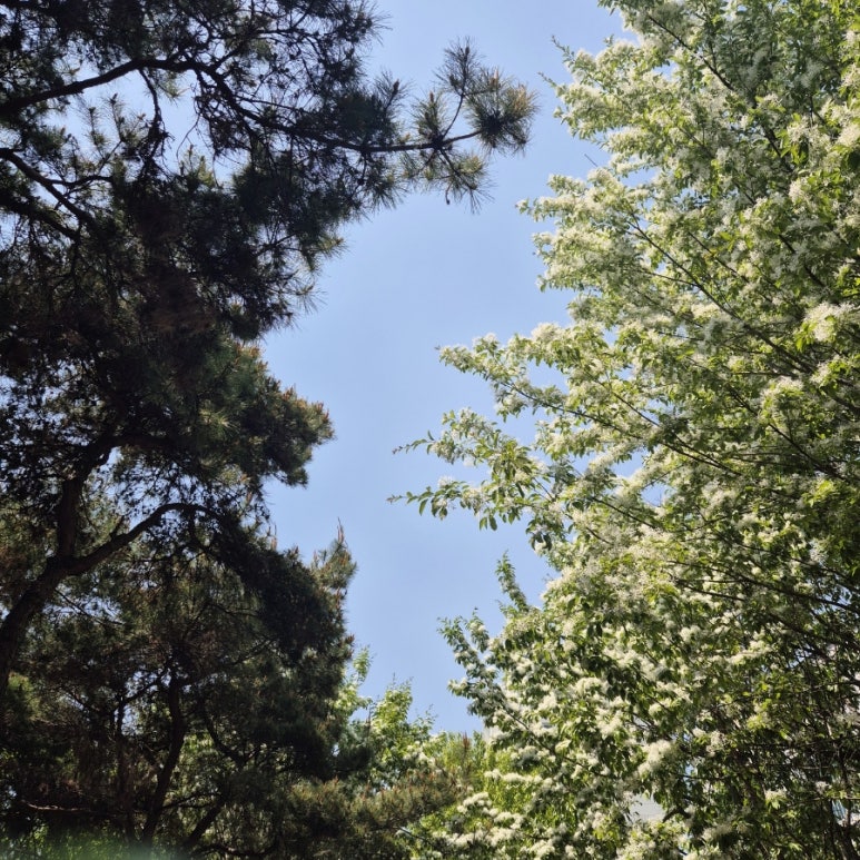 몽실한우동구 이미지