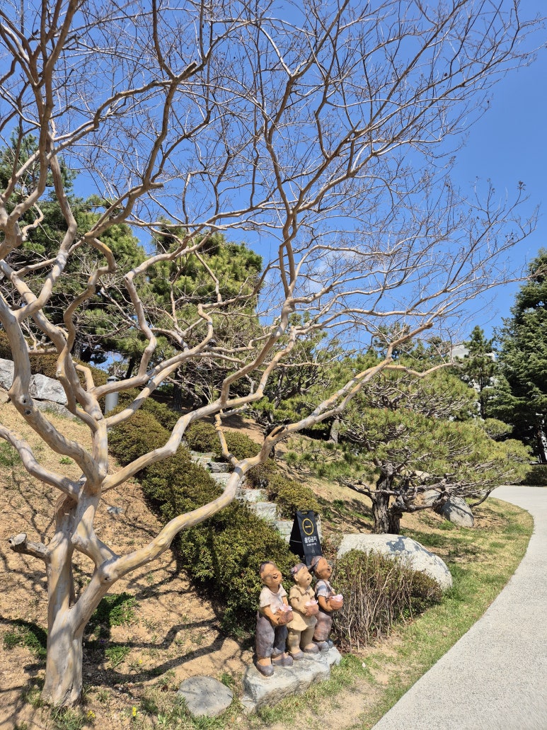 모모스커피도모헌점 이미지