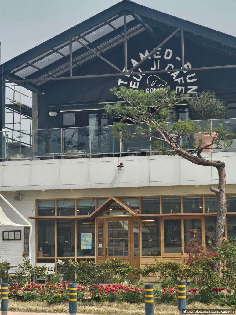 솔티선셋 이미지