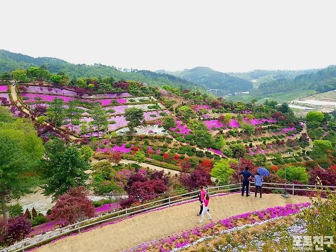 동산잔디 이미지