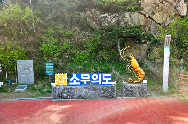 뗌리 이미지