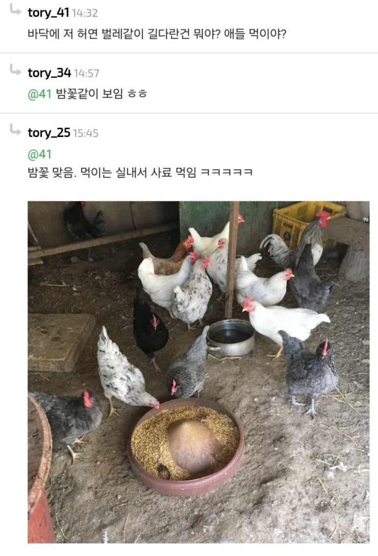 빵실빵실 이미지