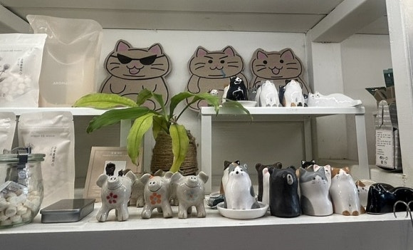 1.5도씨 이미지