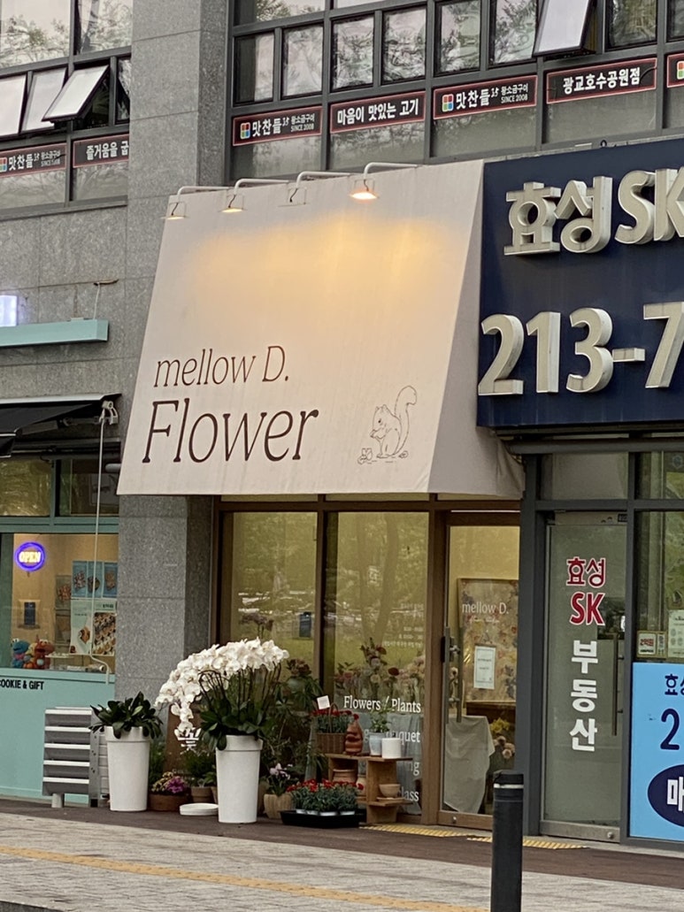 멜로우디플라워 이미지