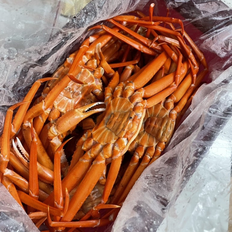 바리바리수산 이미지