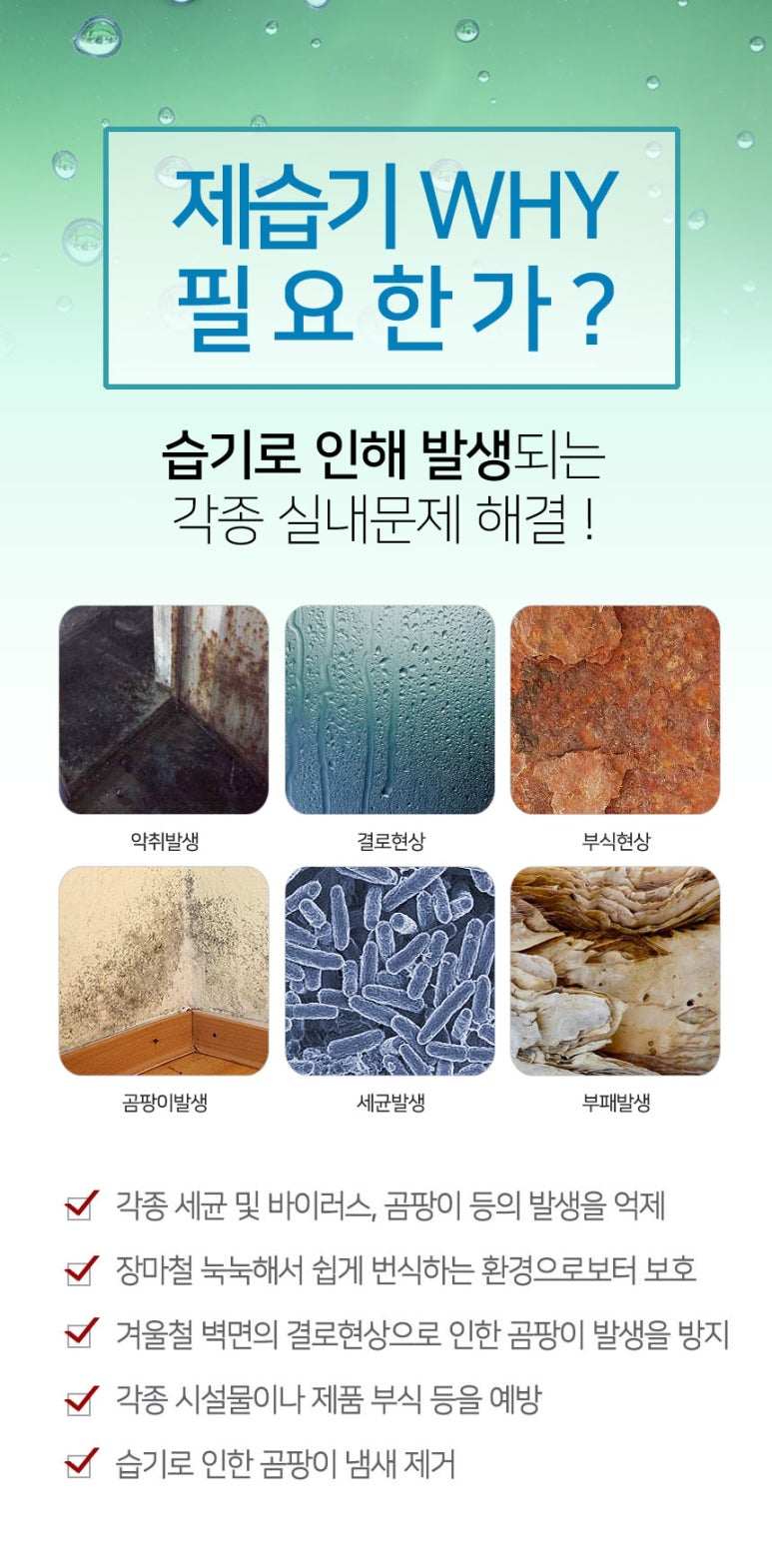 DSJ 이미지