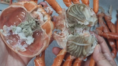 바리바리수산 이미지