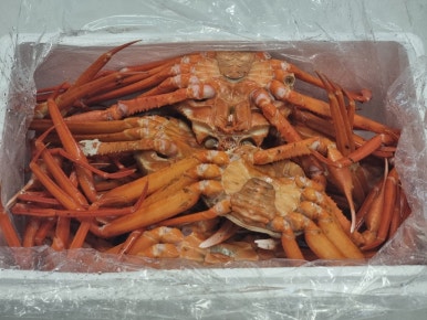 바리바리수산 이미지