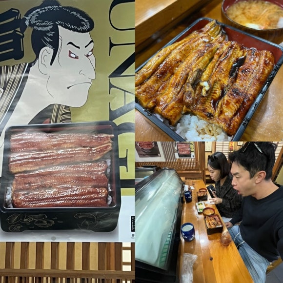 미락정장어 이미지