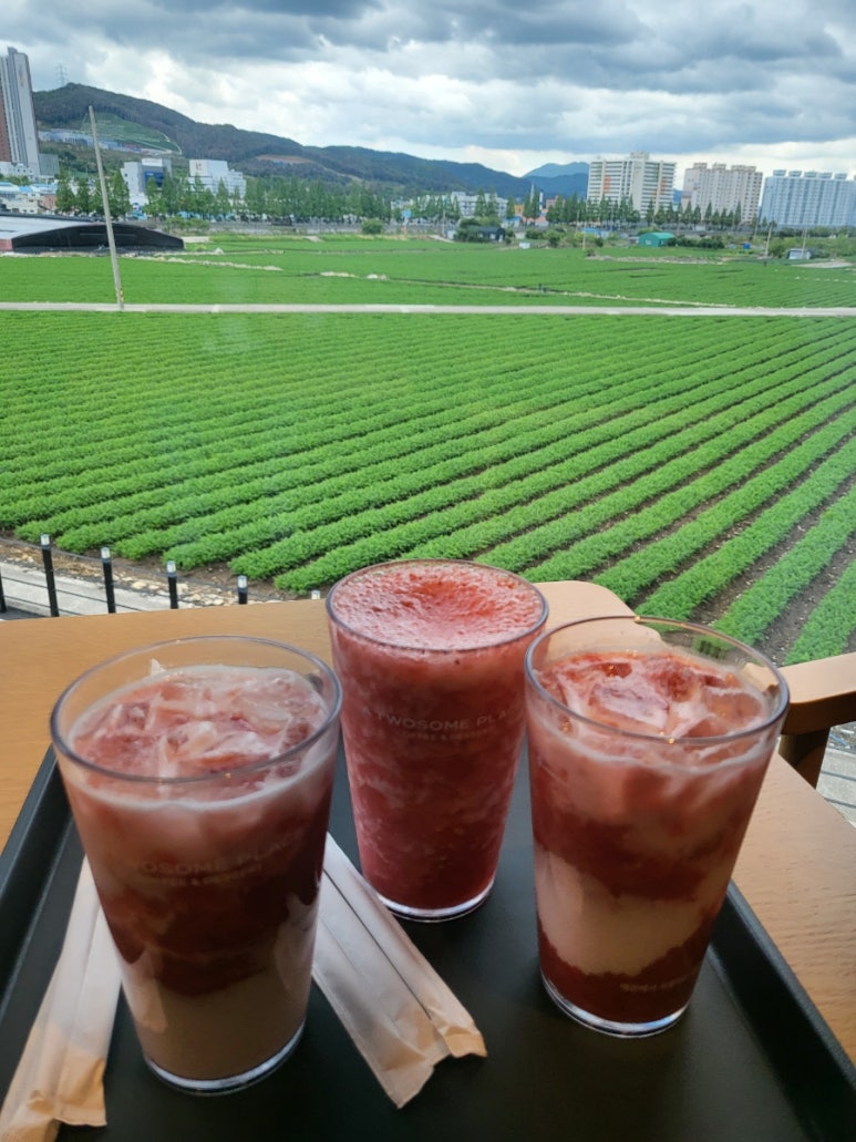 투썸플레이스양산 이미지