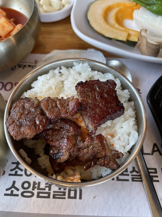 조선돼지 이미지