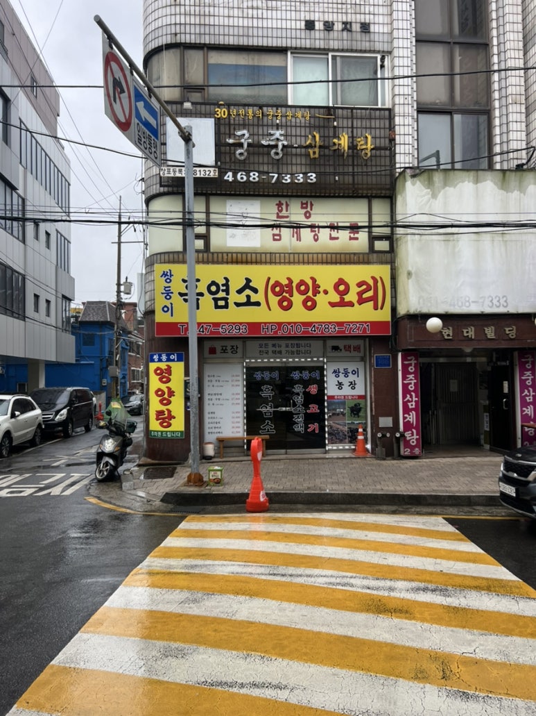 쌍둥이흑염소 이미지