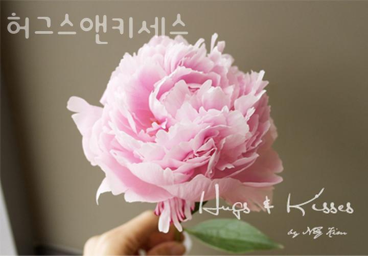 허그스 이미지