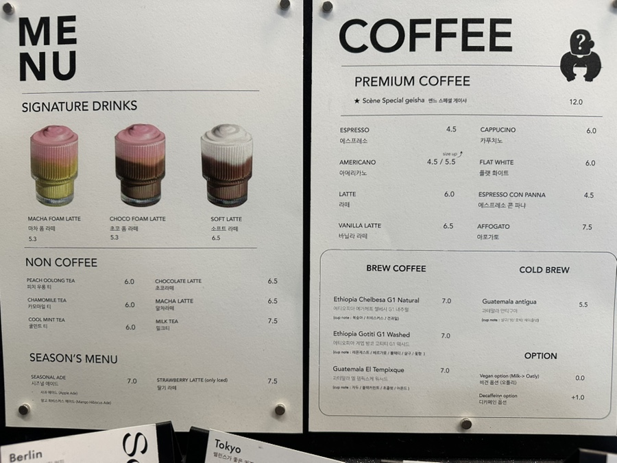 쎈느 건국 이미지