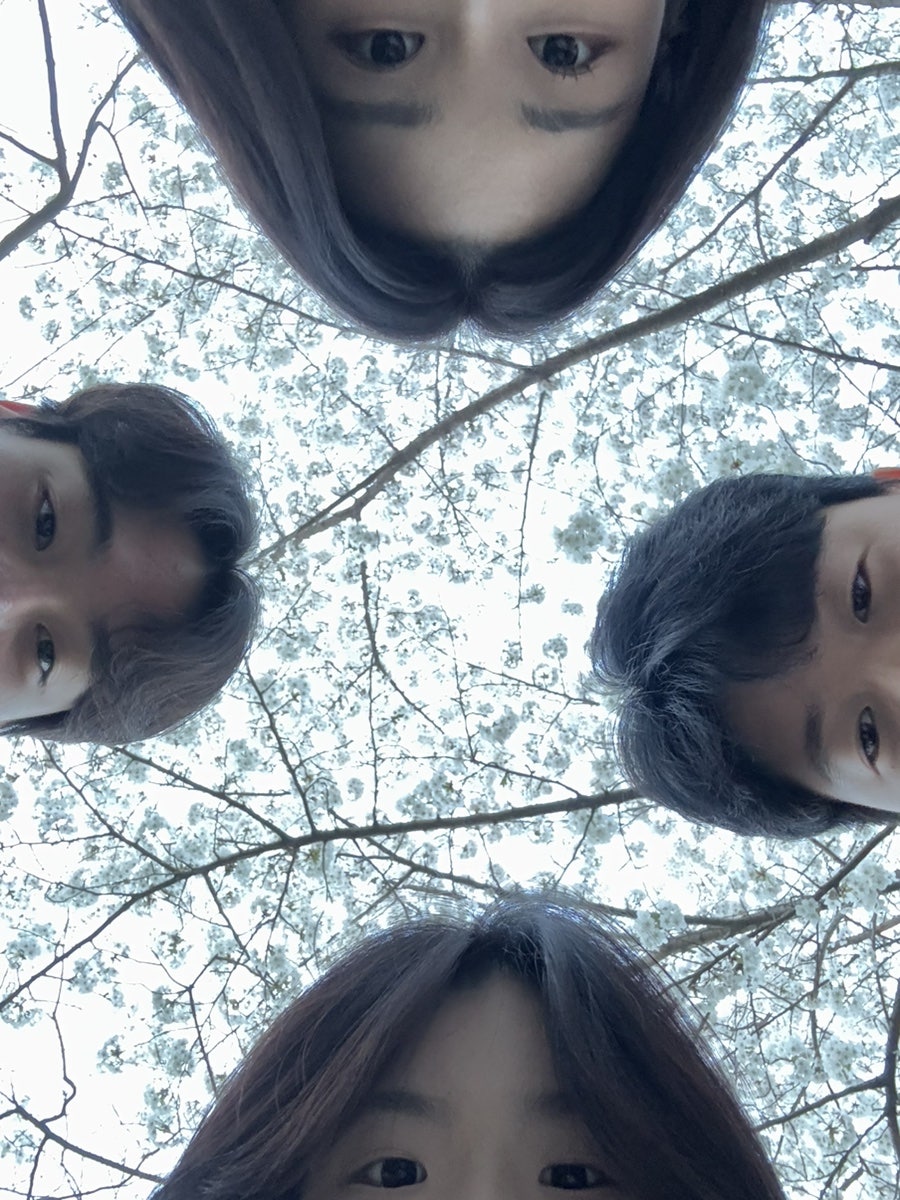 이닝슈 이미지
