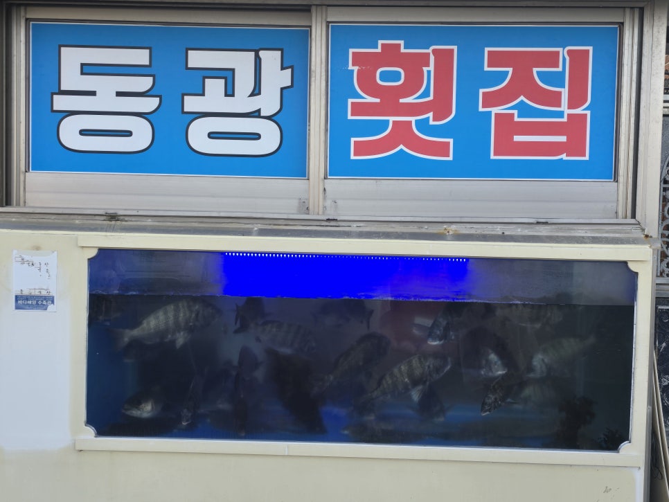 동광횟집 이미지