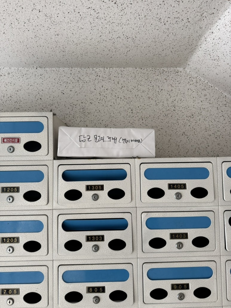 미트제네레이션 이미지