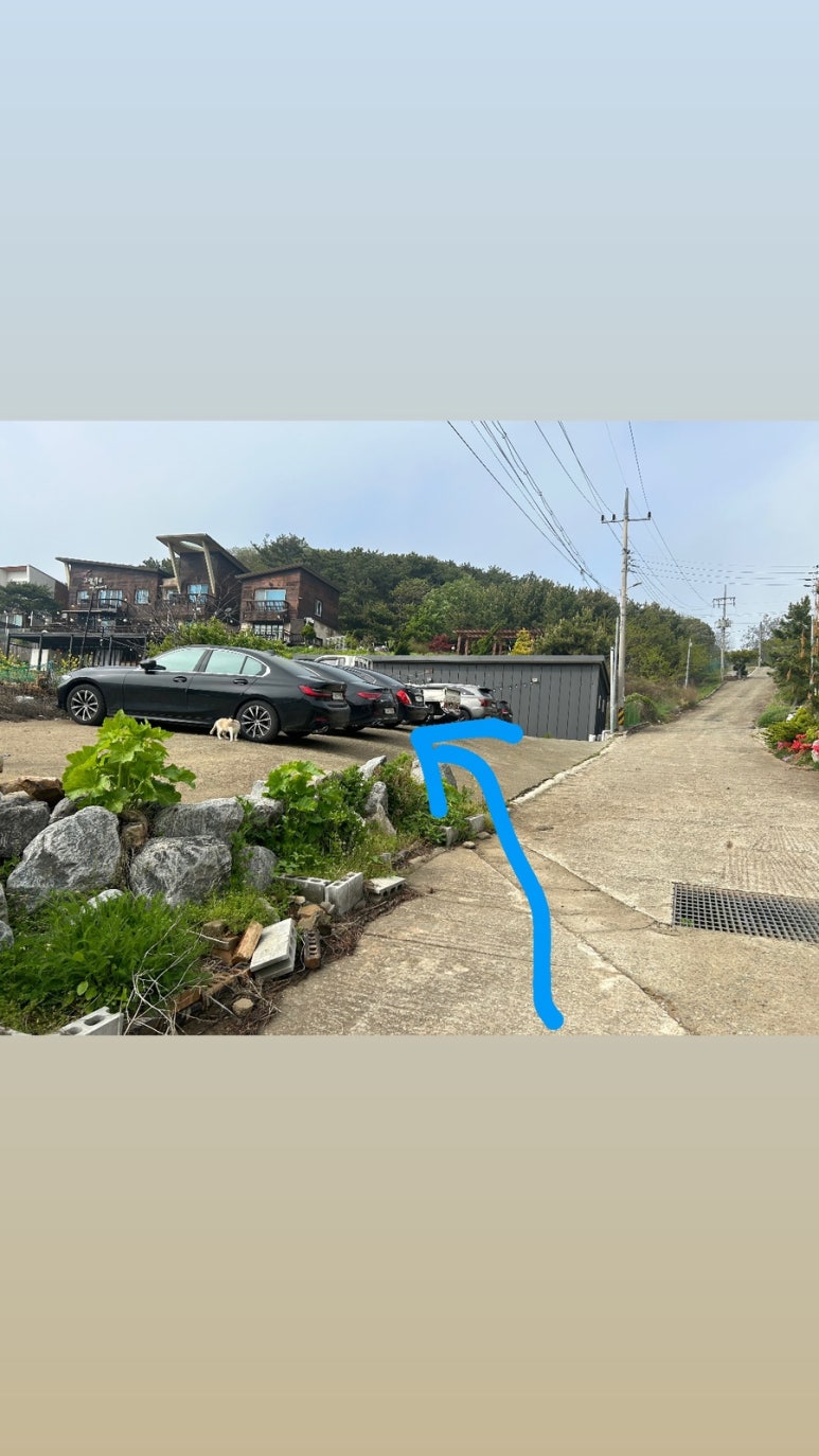 꿈의궁전펜션 이미지