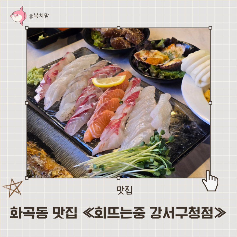 회뜨는중강서 이미지